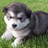 OuRs_BlanC