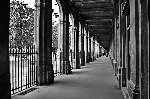 LeVampiredeParis 